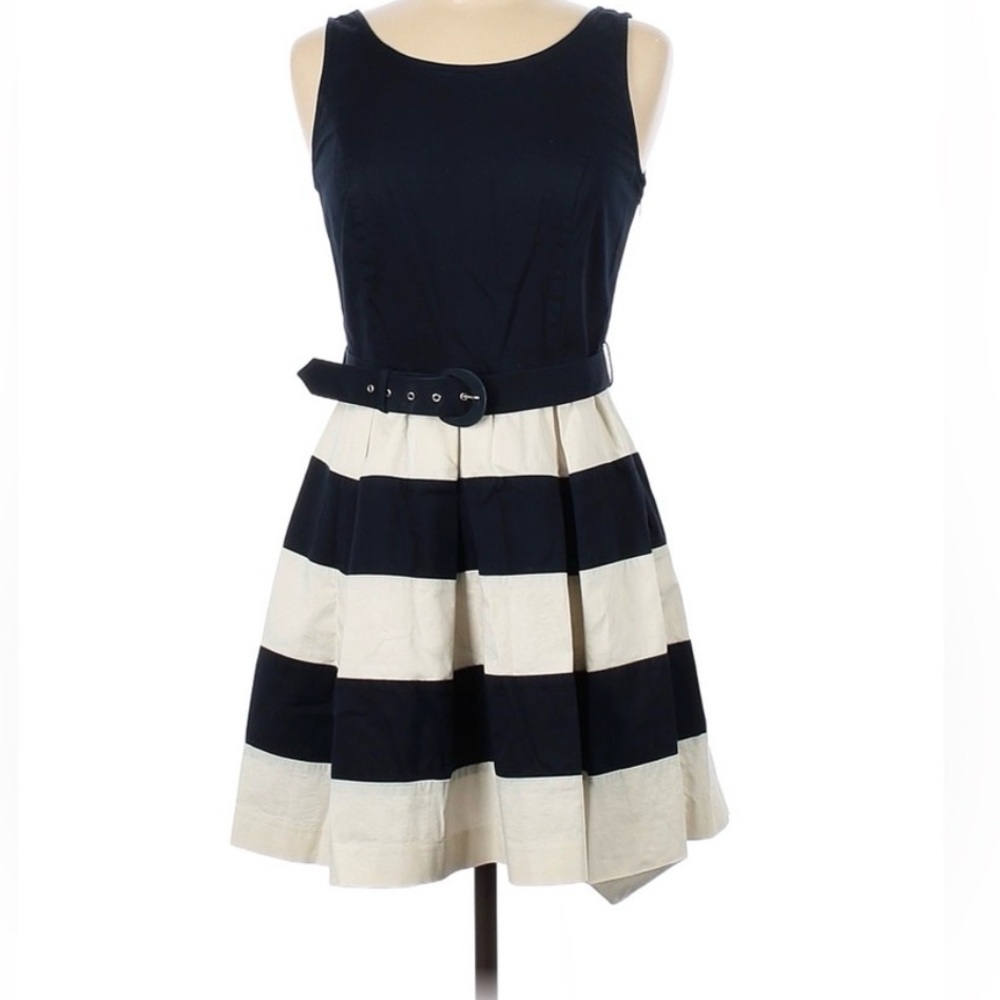 Banana Republic Sleeveless Striped Belted Dress with A-Line Skirt 00